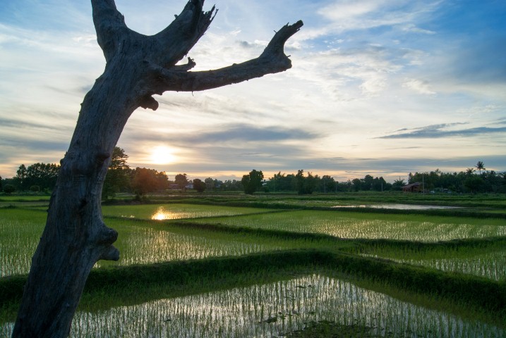 Local surroundings 173