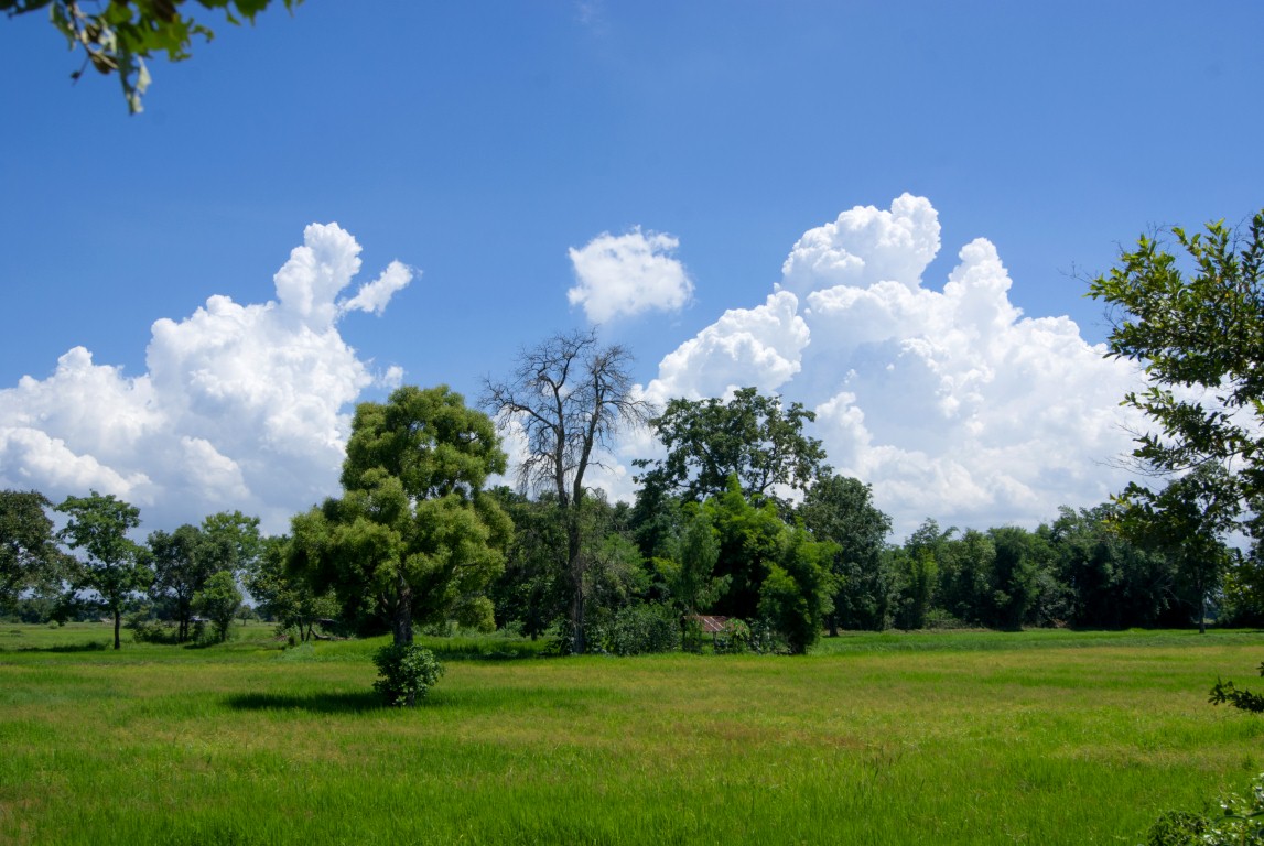 Local surroundings 222