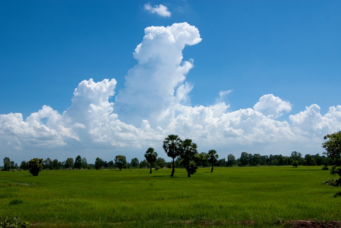 Local surroundings 225