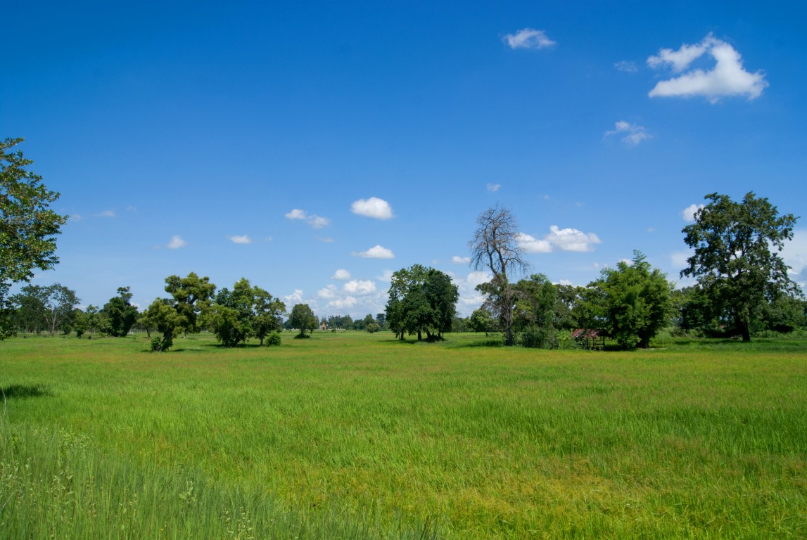 Local surroundings 227