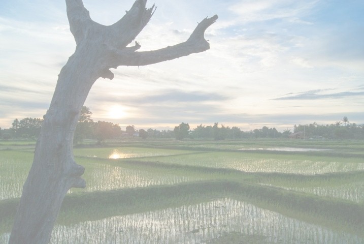 Surroundings photo from homepage